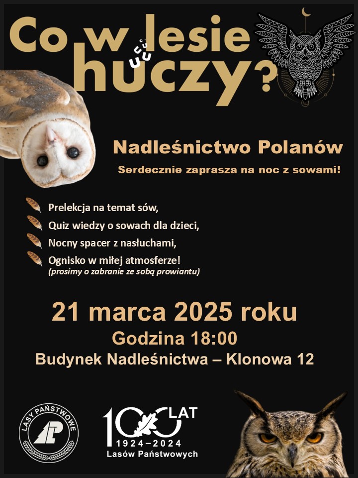 Co w lesie huczy? Wybierzcie się z nami do lasu!