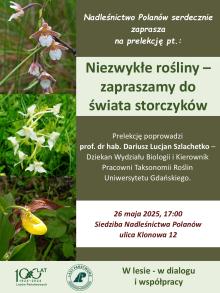 Zapraszamy do świata storczyków