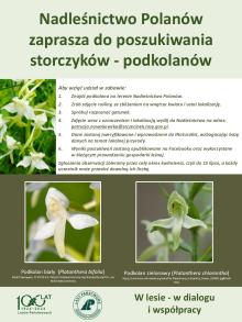 Niezwykły świat storczyków - wykład i zaproszenie do poszukiwania storczyków - podkolanów